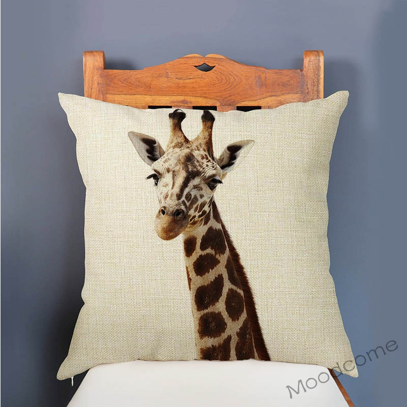 Cute Baby Setting Nursery Art  - Baby Zebra Nursery recension och pris